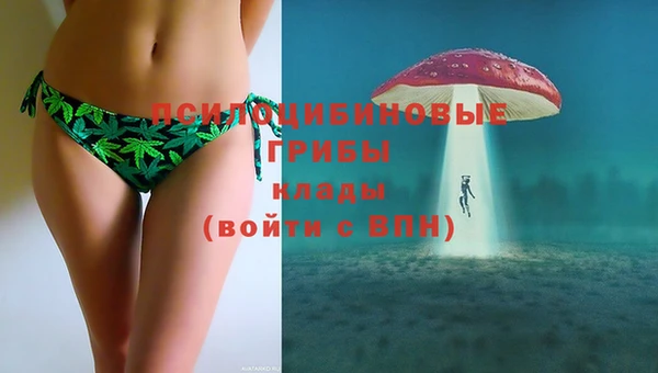 ешки Алзамай