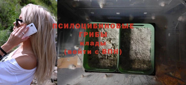 бутират Алексеевка