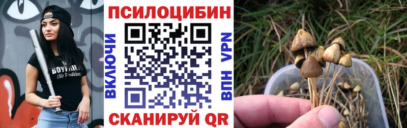 Галлюциногенные грибы Psilocybe  hydra зеркало  Лахденпохья  магазин   